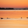 Family of ducks enjoying the setting sun over Lough Neagh