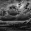 IMG_3556