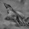 IMG_3652-Edit