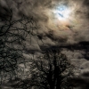 IMG_0765-Edit