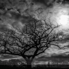 IMG_0767-Edit