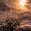 IMG_0770-Edit