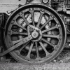 Wheel